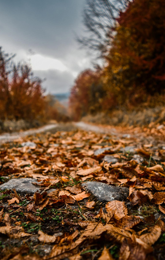 HTML 6 Is Releasing: What Are The New Tags and Features In HTML6?